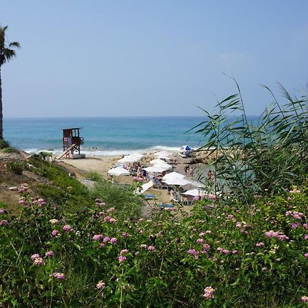 Limnaria Gardens Paphos, Near Beach Eksteriør bilde