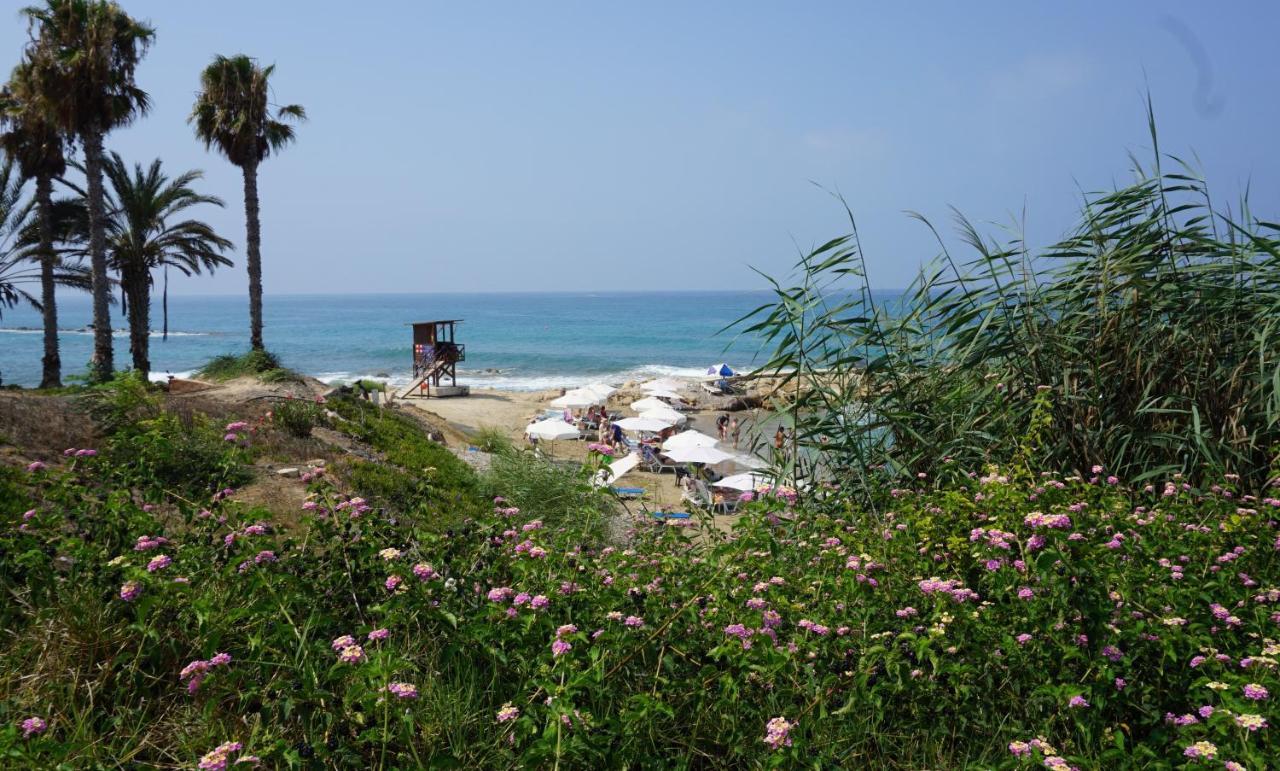 Limnaria Gardens Paphos, Near Beach Eksteriør bilde